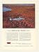 1955 Royal Canadian Air Force Avro Aircraft CF-100 Print Ad (43404)