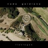Flektogon 