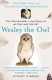 Wesley the Owl: The Remarkable Love Story of an Owl and His Girl