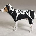 Casual Canine Glow Bones Costume Xlg