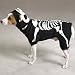 XS Glow Bones Skeleton Halloween Costume for Dogs