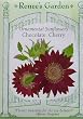 Chocolate Cherry Sunflower Seeds