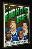 The Fighting Irish: 1993 Notre Dame Football (Media Guide)