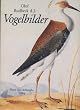 Vogelbilder