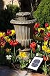 Solar Birdbath Fountain