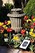 Solar Birdbath Fountain