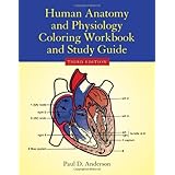 human anatomy  physiology coloring workbook