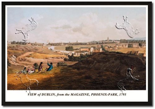 Framed Art Poster 20x30, View of Dublin, from the Magazine, Phoenix-Park, 1795