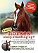 Why Do Horses Sleep Standing Up?: 101 of the Most Perplexing Questions Answered About Equine Enigmas, Medical Mysteries, and Befuddling Behaviors (Why Do Series)
