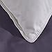 Puredown White Goose Feather and Down Pillow, Queen, Set of 2