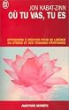 O&ugrave; tu vas, tu es : Apprendre &agrave; m&eacute;diter pour se lib&eacute;rer du stress et des tensions profondes