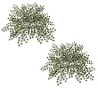 TWO 24" Artificial Maiden Hair Fern Plants Greenery Bushes_Dark Green
