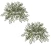 TWO 24" Artificial Maiden Hair Fern Plants Greenery Bushes_Dark Green
