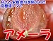 ���᡼��ȥޥ� 1kgS��2S������16��20�� ���ϲ���Ȣ��