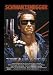 Terminator (Arnold Schwarzenegger with Gun) Framed Movie Poster Print - 24" X 36"