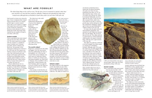Cover image : The World Encyclopedia Of Fossils And Fossil-Collecting