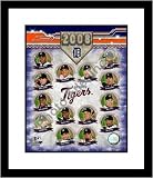 Detroit Tigers 2008 Team Composite Framed 8x10 Photograph