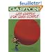 Gaston, Tome 3 : Les gaffes d'un gars gonfl�