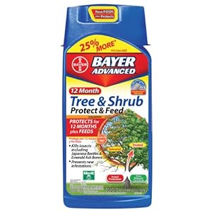 Bayer 701510A 12-Month Tree and Shrub Protect and Feed Concentrate-40-Ounce