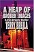 Search : A Heap of Broken Images: A Don DeCarlo Thriller
