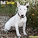 Bull Terrier Calendar - Only Dog Breed Bull Terriers Calendar - 2016 Wall calendars - Dog Calendars - Monthly Wall Calendar by Avonside