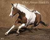 What Horses Teach Us 2010 Calendar: Life Lessons Learned from Our Equine Friends