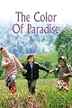 play video on Amazon Instant Video