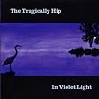 In Violet Light