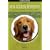 Mon golden retriever (1DVD)