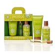 Pacifica Take Me There Gift Set - Tahitian Gardenia