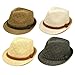 Classic Fedora Straw Hat with Braided Band Available