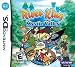 River King: Mystic Valley NDS