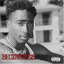 Beginnings The Lost Tapes 1988-1991