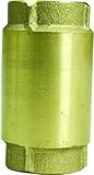 Flotec TC2502LF Well Pump Brass Check Valve