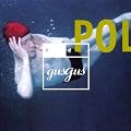 Polydistortion