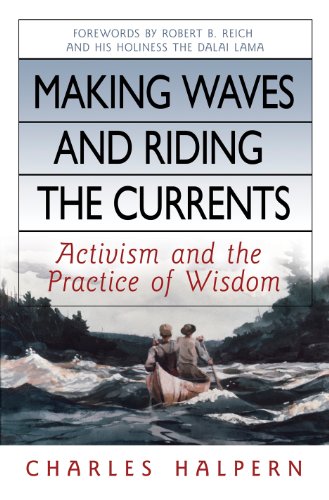 Making Waves and Riding the Currents: Activism and the Practice of Wisdom