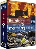 Fireplace/Marine Aquarium