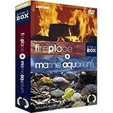 Fireplace/Marine Aquarium