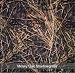 1 (one) 2in X5in Camo Window Film Mossy Oak Shadowgrass
