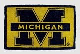 Michigan Wolverines New Coir Welcome Door Mat Doormat