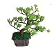 Creative Motion Large Fiber Optic Faux Bonsai