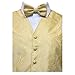 Amanti - Men's 4pc Set Paisley Tuxedo Vest Vest / Tie / Hanky / Bow Tie