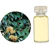 生活の木・Herbal Life EO.・レモンマートル 1000ml