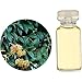 ̖؁EHerbal Life EO.E}[g 1000ml