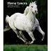 Horse Lovers 2010 Hardcover Engagement Calendar