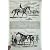 1858 頭の競走馬の Fitzroland の女性家庭教師の馬の印刷物