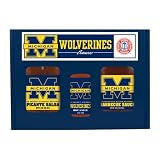 Michigan Wolverines NCAA Tailgate Party Pack