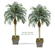 TWO 6' Phoenix Coconut Artificial Tropical Palm Trees, with No Pot,