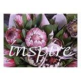 Delight/Inspire