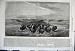1862 Herd Bisons Crossing River Upper Missouri Hays